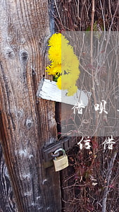 借呗逾期了几天上征信吗(借呗逾期多久上征信?借呗逾期几天上征信催款吗?)