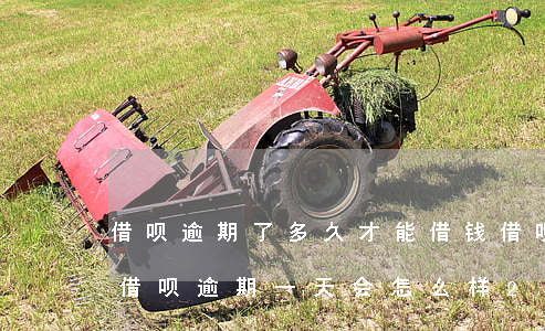 借呗逾期了多久才能借钱(借呗可以逾期多久?借呗逾期一天会怎么样(2))