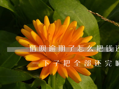 借呗逾期了怎么把钱还上(借呗逾期后还款要一下子把全部还完嘛)
