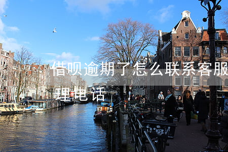 借呗逾期了怎么联系客服(支付宝借呗逾期处理电话)