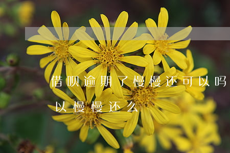 借呗逾期了慢慢还可以吗（支付宝借呗逾期可以慢慢还么）