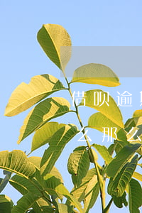 借呗逾期了罚息贵怎么办(借呗逾期的利息怎么那么高)