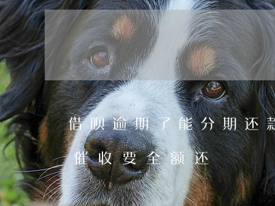 借呗逾期了能分期还款么(借呗分期逾期还了,催收要全额还)