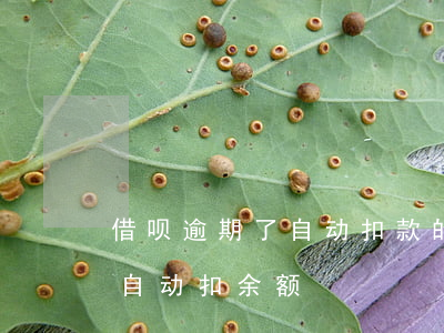 借呗逾期了自动扣款的钱如何找回（借呗逾期 自动扣余额）