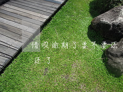 借呗逾期了要不要还了-借呗逾期了要不要还了