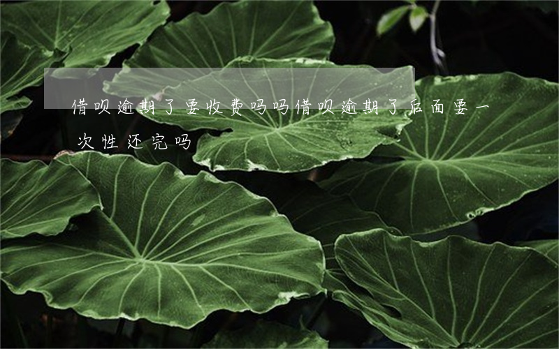 借呗逾期了要收费吗吗(借呗逾期了后面要一次性还完吗?)
