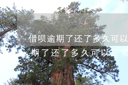 借呗逾期了还了多久可以正常使用-借呗逾期了还了多久可以正常使用啊