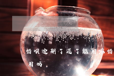 借呗逾期了还了能用嘛(借呗逾期还了还可以用吗)