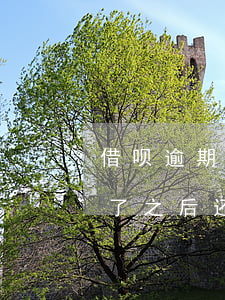 借呗逾期了还可以再借吗(借呗逾期一天了,还了之后还能再借出来吗)
