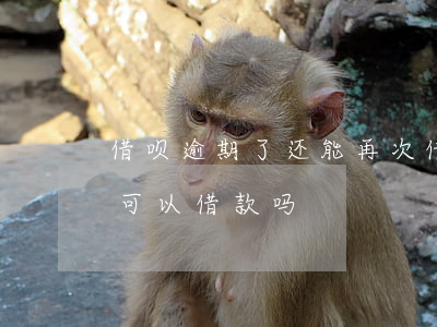 借呗逾期了还能再次借吗(借呗逾期还进去还可以借款吗?)