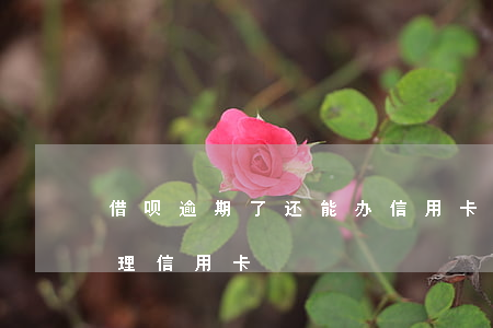 借呗逾期了还能办信用卡吗(借呗逾期可以办理信用卡)