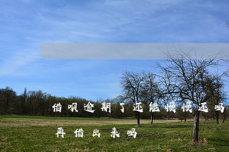 借呗逾期了还能慢慢还吗(借呗有过逾期还能再借出来吗)