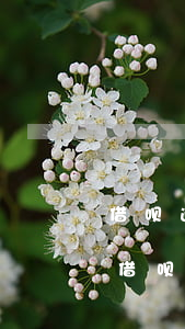 借呗逾期五万会不会被起诉,每月依旧还款-借呗逾期五万会不会被起诉,每月依旧还款不了