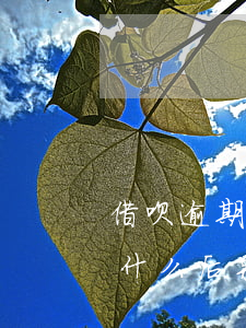 借呗逾期五天会被关闭吗(借呗逾期五天会有什么后果?,有奖问答)