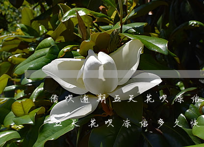 借呗逾期五天花呗冻结多久恢复-借呗逾期五天花呗冻结多久恢复正常