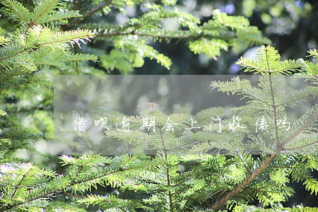 借呗逾期会上门收债吗