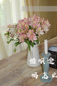借呗逾期会上门要钱吗(借呗逾期会上门要钱吗怎么办)