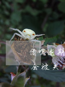 借呗逾期会不会关闭借呗(借呗逾期一天一定会被关闭吗)