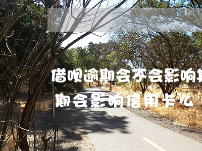 借呗逾期会不会影响其它信用卡（借呗花呗逾期会影响信用卡么）