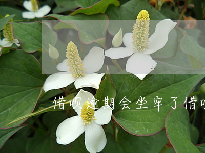 借呗逾期会坐牢了(借呗逾期会被判刑)