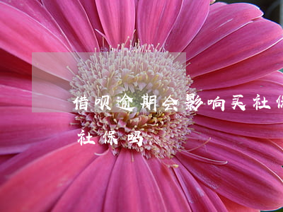 借呗逾期会影响买社保吗(借呗逾期会影响买社保吗)
