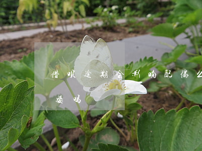 借呗逾期会影响配偶么(借呗逾期会影响我老婆吗)