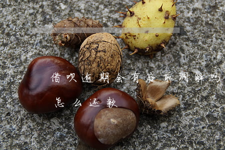 借呗逾期会有庭前调解吗(借呗逾期被起诉后怎么还款)