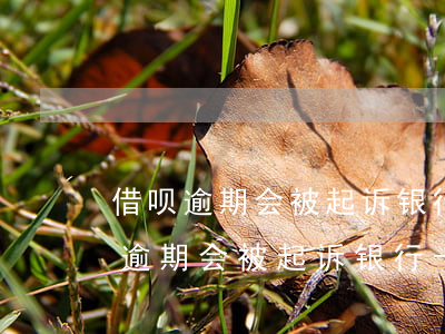 借呗逾期会被起诉银行卡会被冻结吗-借呗逾期会被起诉银行卡会被冻结吗