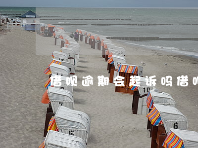 借呗逾期会起诉吗(借呗逾期会被起诉么)