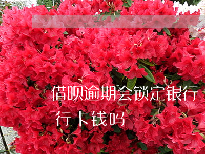 借呗逾期会锁定银行卡吗(借呗逾期能扣到银行卡钱吗)