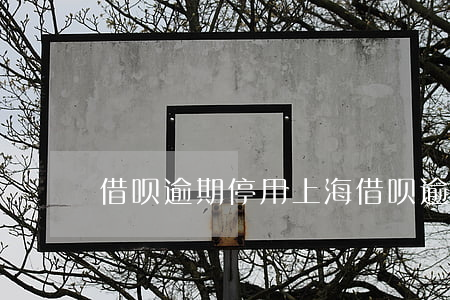 借呗逾期停用（上海借呗逾期停息挂账银行）
