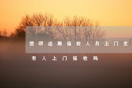 借呗逾期催收人员上门(支付宝借呗逾期了会有人上门催收吗?)