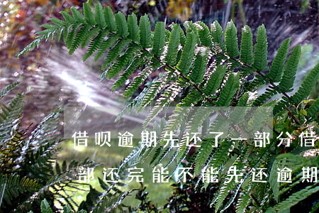 借呗逾期先还了一部分(借呗逾期要我一次全部还完能不能先还逾期的)