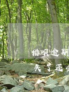 借呗逾期关掉还能开通吗(借呗逾期还完了,消失了,还会自动开通吗)