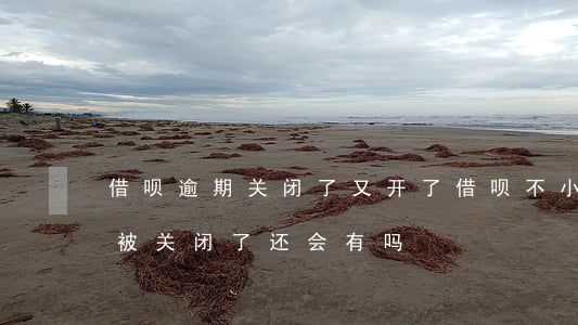 借呗逾期关闭了又开了(借呗不小心逾期两天被关闭了,还会有吗)