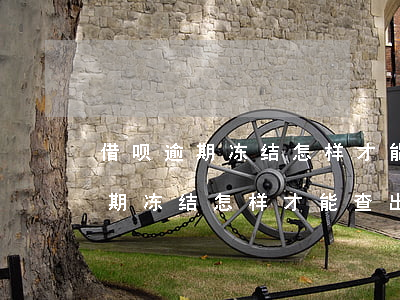 借呗逾期冻结怎样才能查出还金额-借呗逾期冻结怎样才能查出还金额的钱