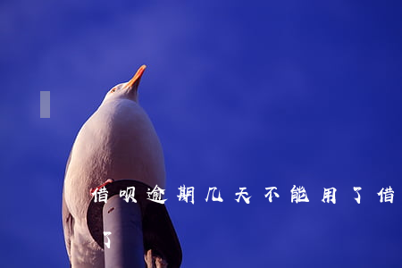 借呗逾期几天不能用了(借呗逾期几天不能用了)