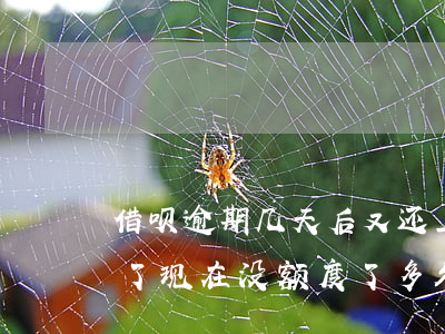 借呗逾期几天后又还上了(借呗逾期四天还款了现在没额度了多久恢复)