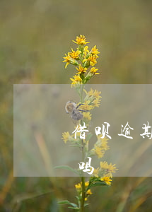借呗逾期几天还了能借吗(借呗逾期几天没事吗)