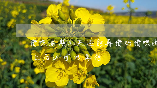借呗逾期几天还能再借吗(借呗逾期几天后,还上后,还可以再借)
