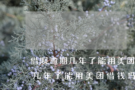 借呗逾期几年了能用美团借钱吗-借呗逾期几年了能用美团借钱吗安全吗