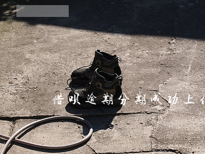 借呗逾期分期成功上传什么凭证-