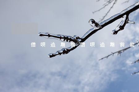 借呗逾期前，借呗逾期前能不能二次分期