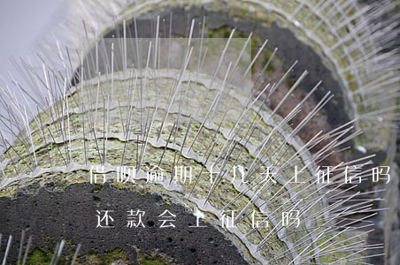 借呗逾期十几天上征信吗(借呗逾期10天后还款会上征信吗?)