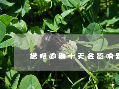 借呗逾期十天会影响到办信用卡吗