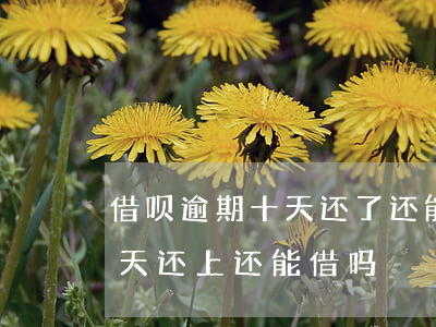 借呗逾期十天还了还能借嘛(借呗逾期10几天还上还能借吗)
