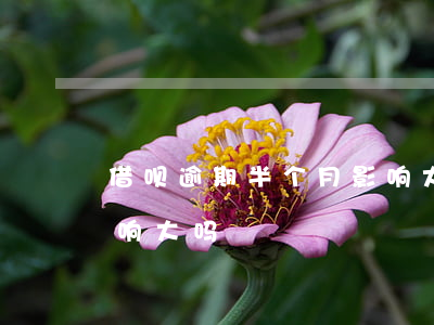 借呗逾期半个月影响大吗(借呗逾期半个月影响大吗)