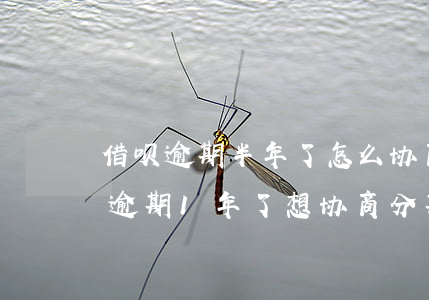 借呗逾期半年了怎么协商分期还款(我借呗都逾期1年了想协商分期还)