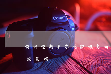 借呗逾期半年还能恢复吗(借呗逾期半年还能恢复吗)