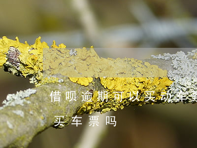 借呗逾期可以买动车票吗(支付宝花呗逾期能买车票吗)